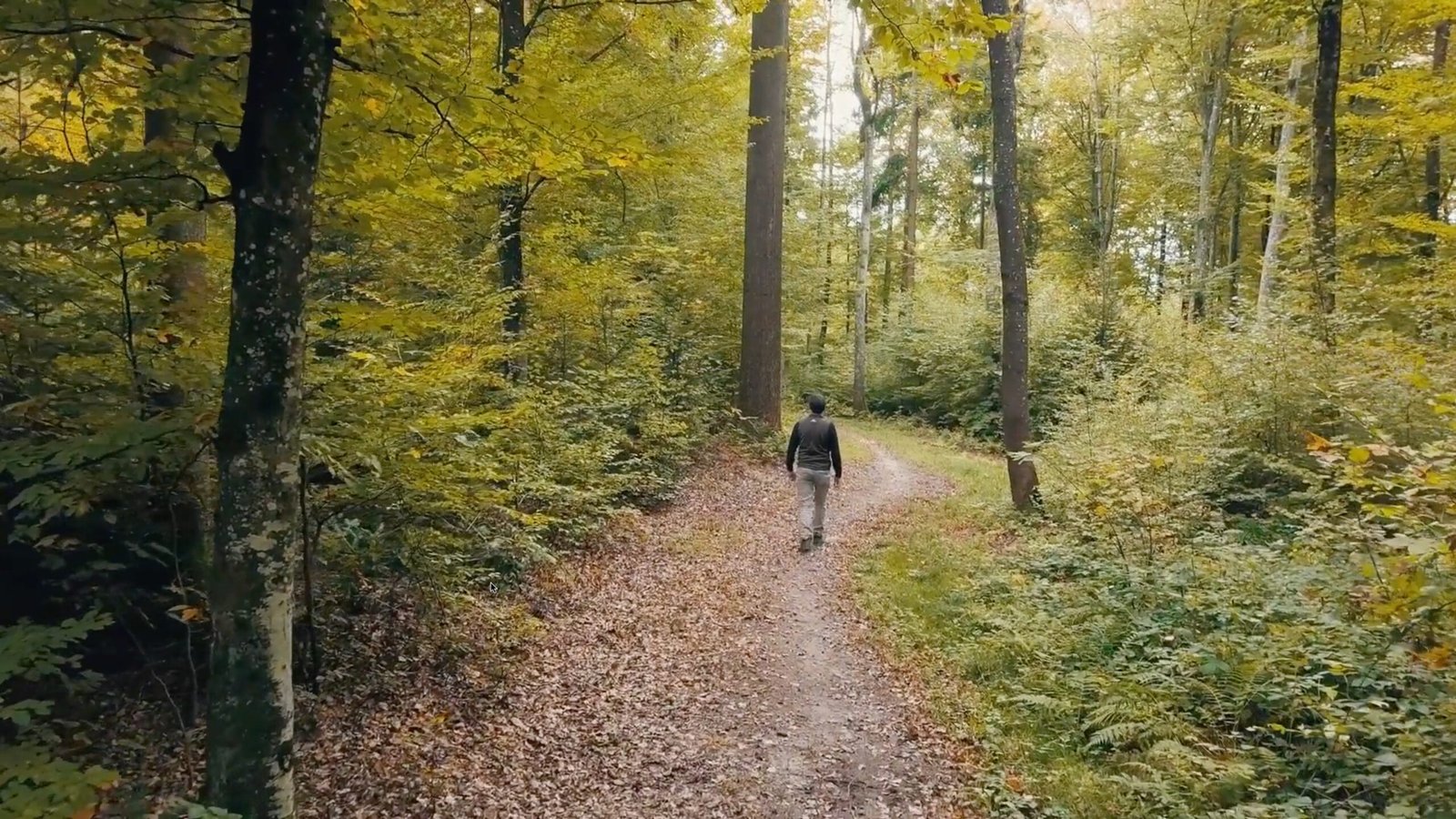 Man Enjoying in Greenery